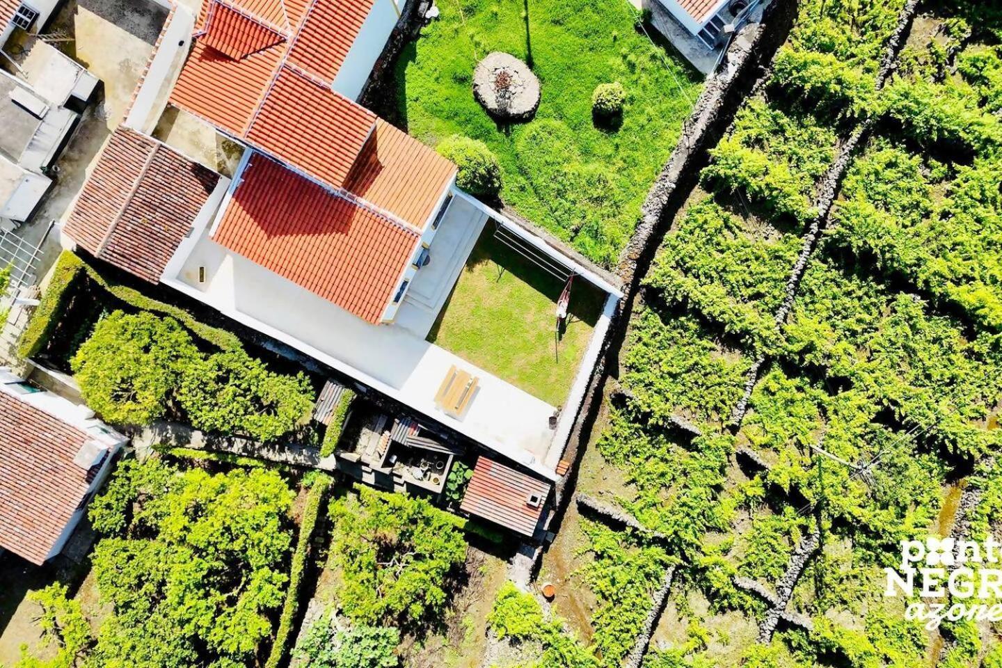 The Biscuit House By Pontanegraazores Praia da Vitória Eksteriør bilde